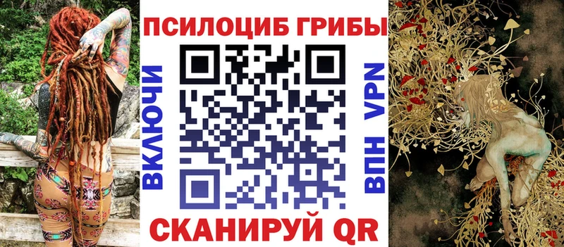 Галлюциногенные грибы Psilocybine cubensis  Протвино 