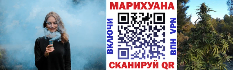 Шишки марихуана план  hydra рабочий сайт  Протвино 